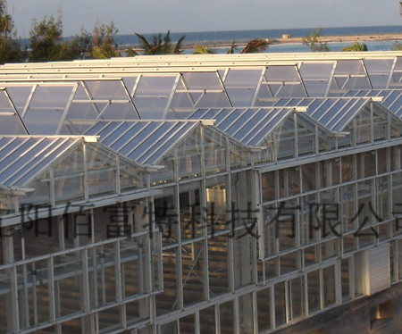 阳光板温室工程案例